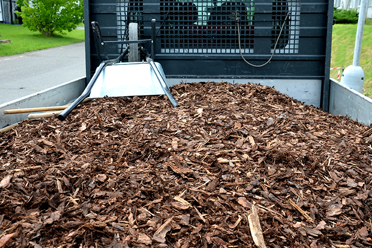 Lawns By Design can provide mulch for your business and personal needs.